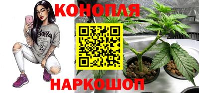spice Заводоуковск