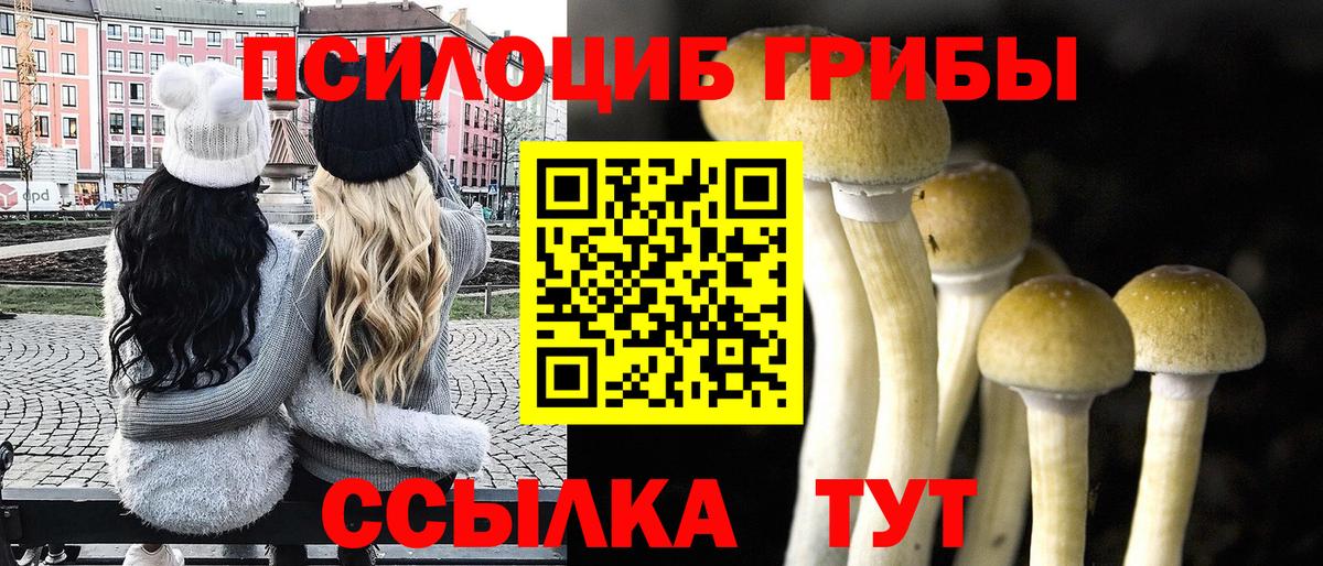 Галлюциногенные грибы Magic Shrooms Джанкой